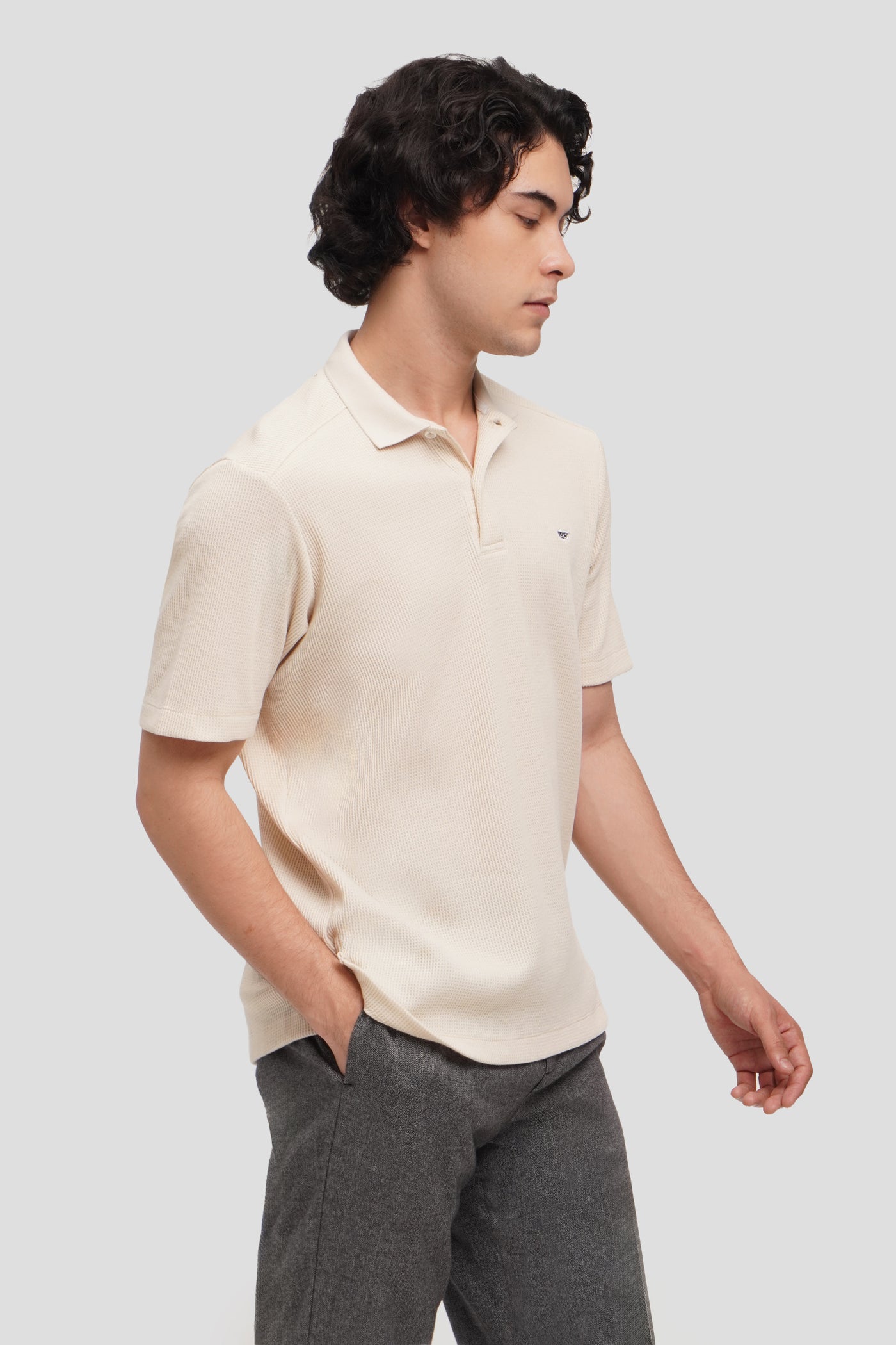 Regular Fit Waffle Polo