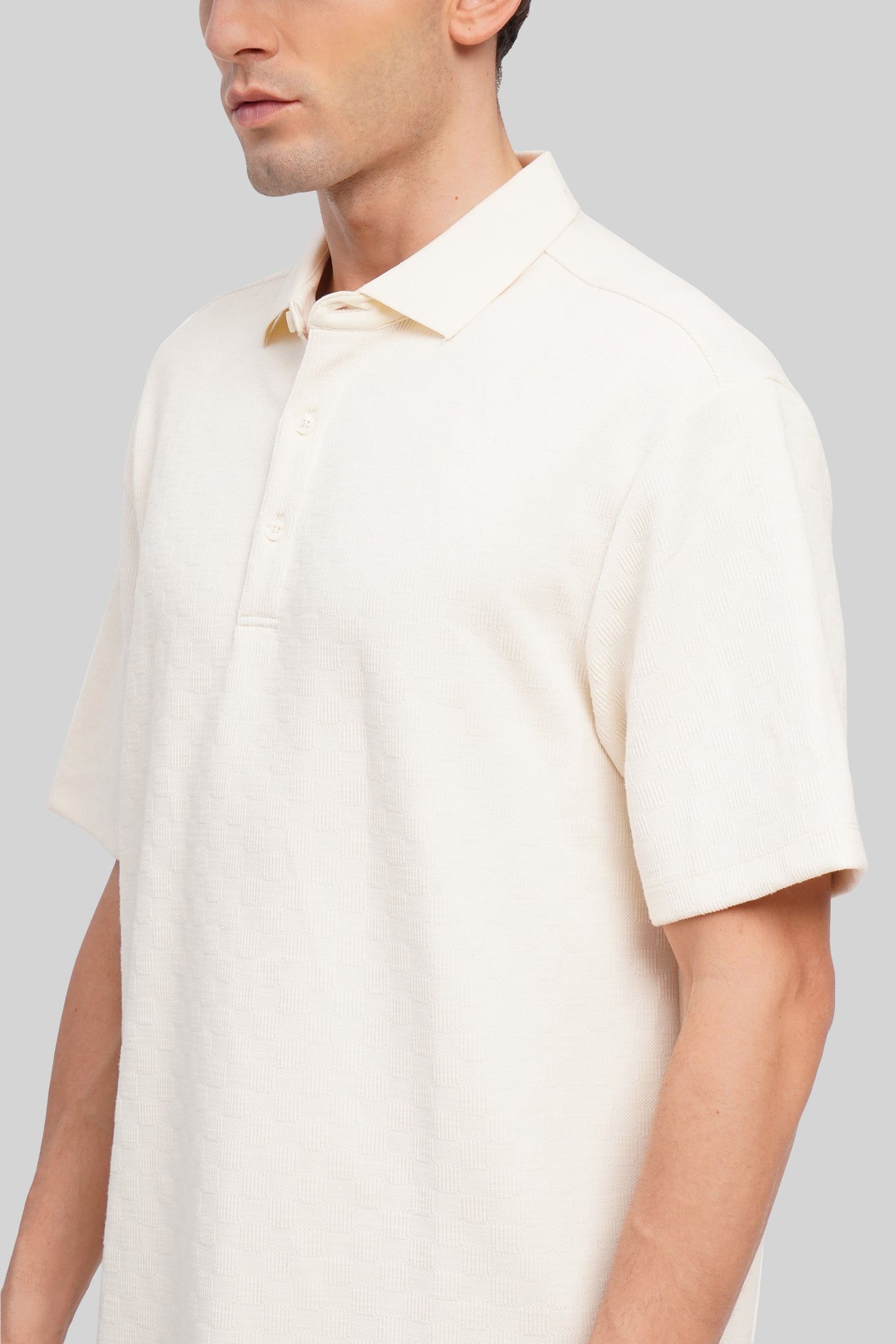 Regular Fit Textured Polo