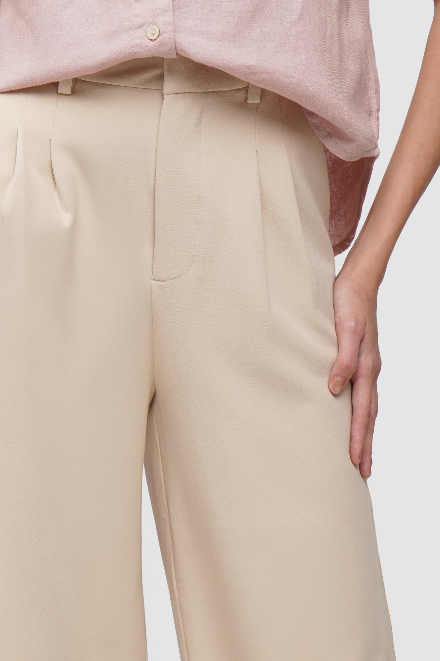 Pleated Trousers