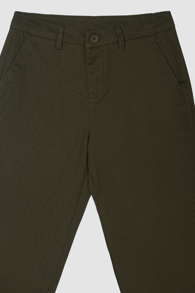 982544-Olive (2).jpg