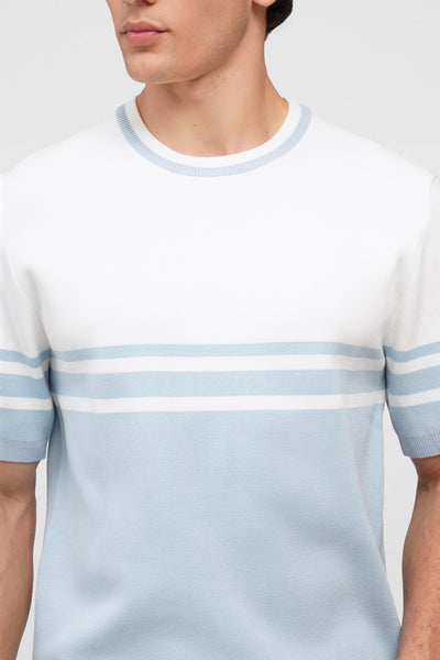 Regular Fit Flat Knit T-Shirt With Engineered Stripes