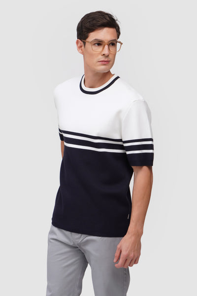 Regular Fit Flat Knit T-Shirt With Engineered Stripes