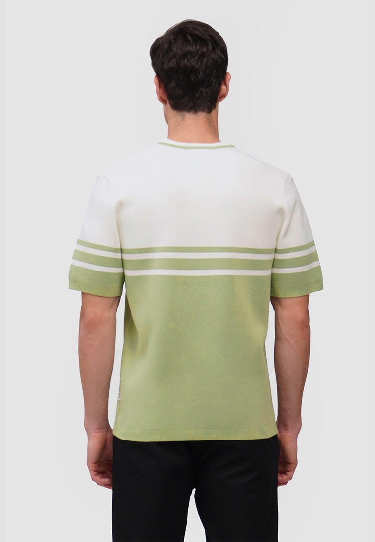 Regular Fit Flat Knit T-Shirt With Engineered Stripes