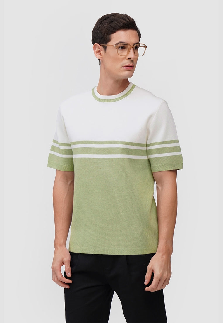 Regular Fit Flat Knit T-Shirt With Engineered Stripes