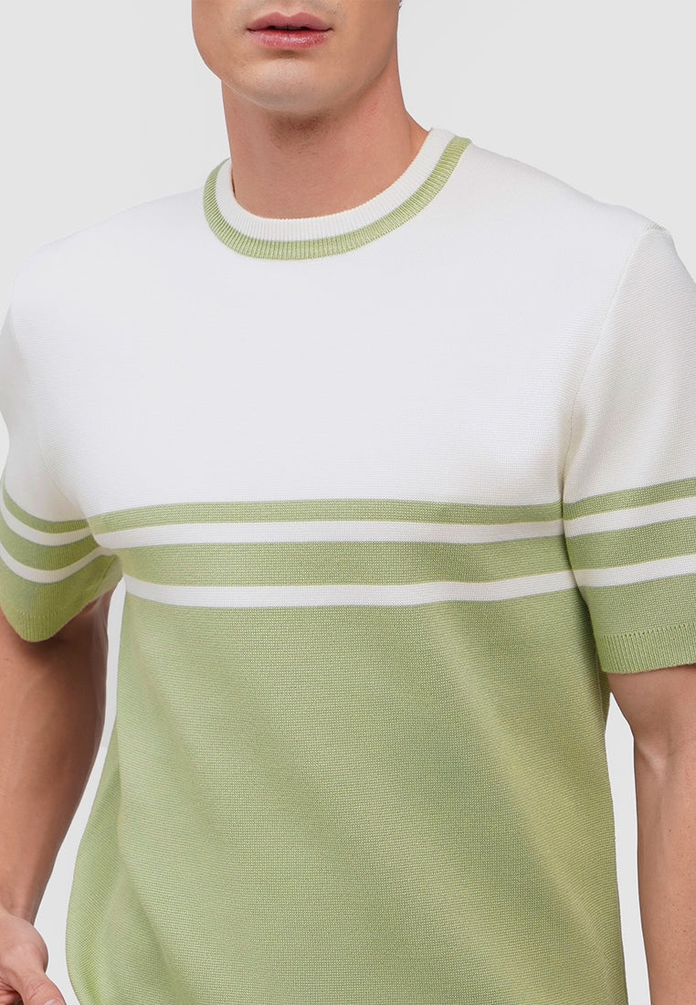 Regular Fit Flat Knit T-Shirt With Engineered Stripes