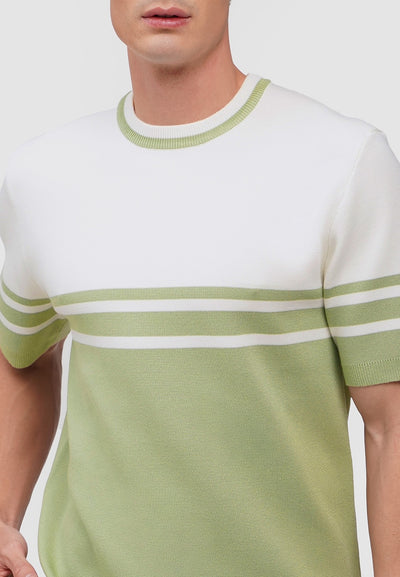 Regular Fit Flat Knit T-Shirt With Engineered Stripes