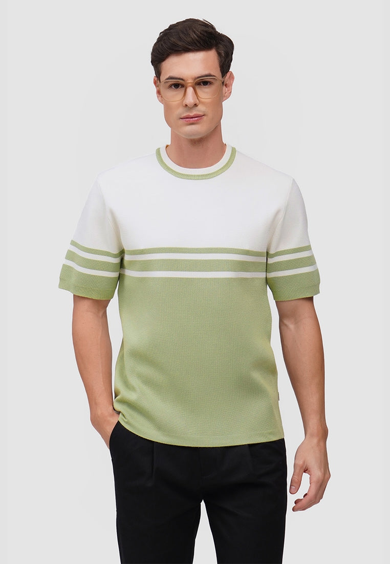 Regular Fit Flat Knit T-Shirt With Engineered Stripes