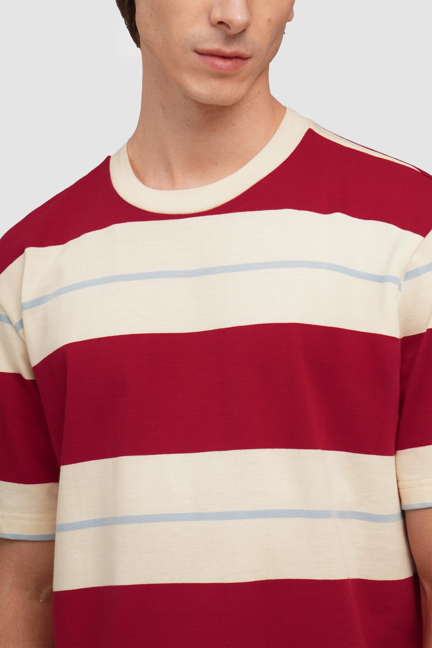 Regular Fit Ringer Striped T-Shirt