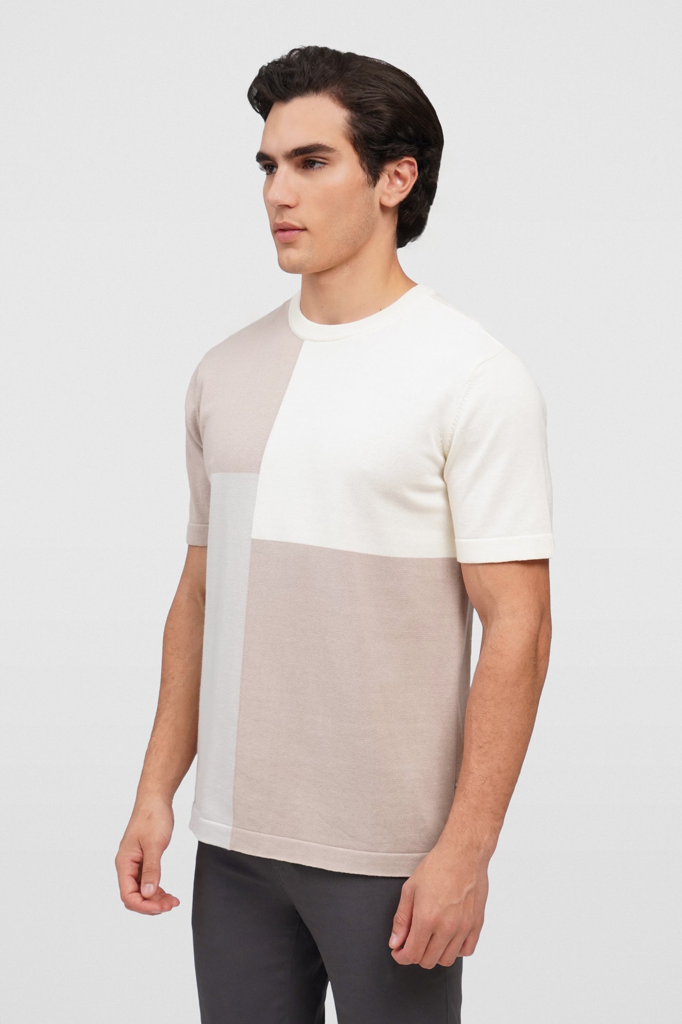 Regular Fit Flat Knit T-Shirt With Color Blocking Pattern