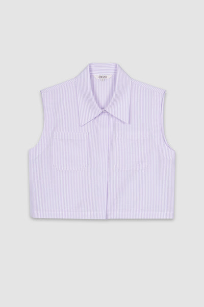 988826-Lilac (1).jpg