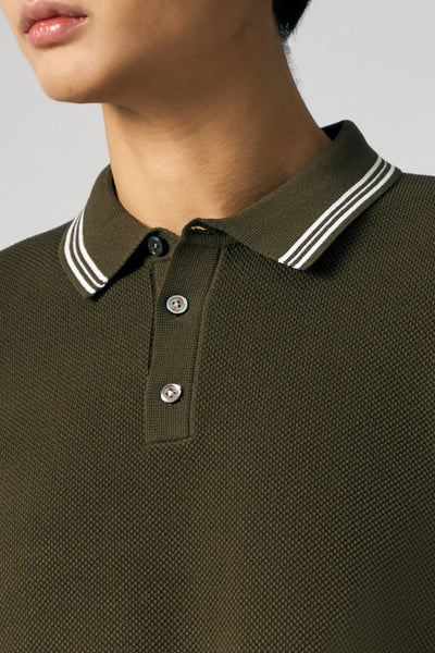 991272-Olive (2).jpg