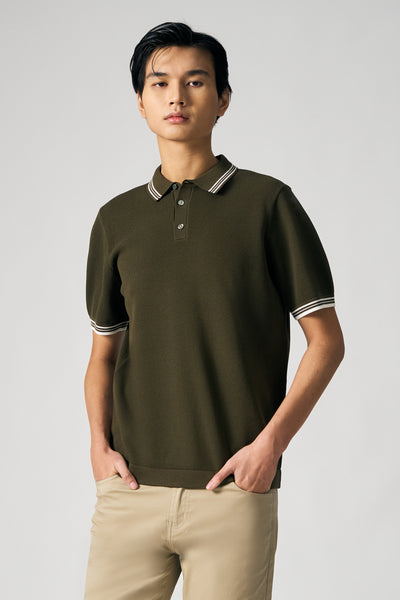 991272-Olive (3).jpg